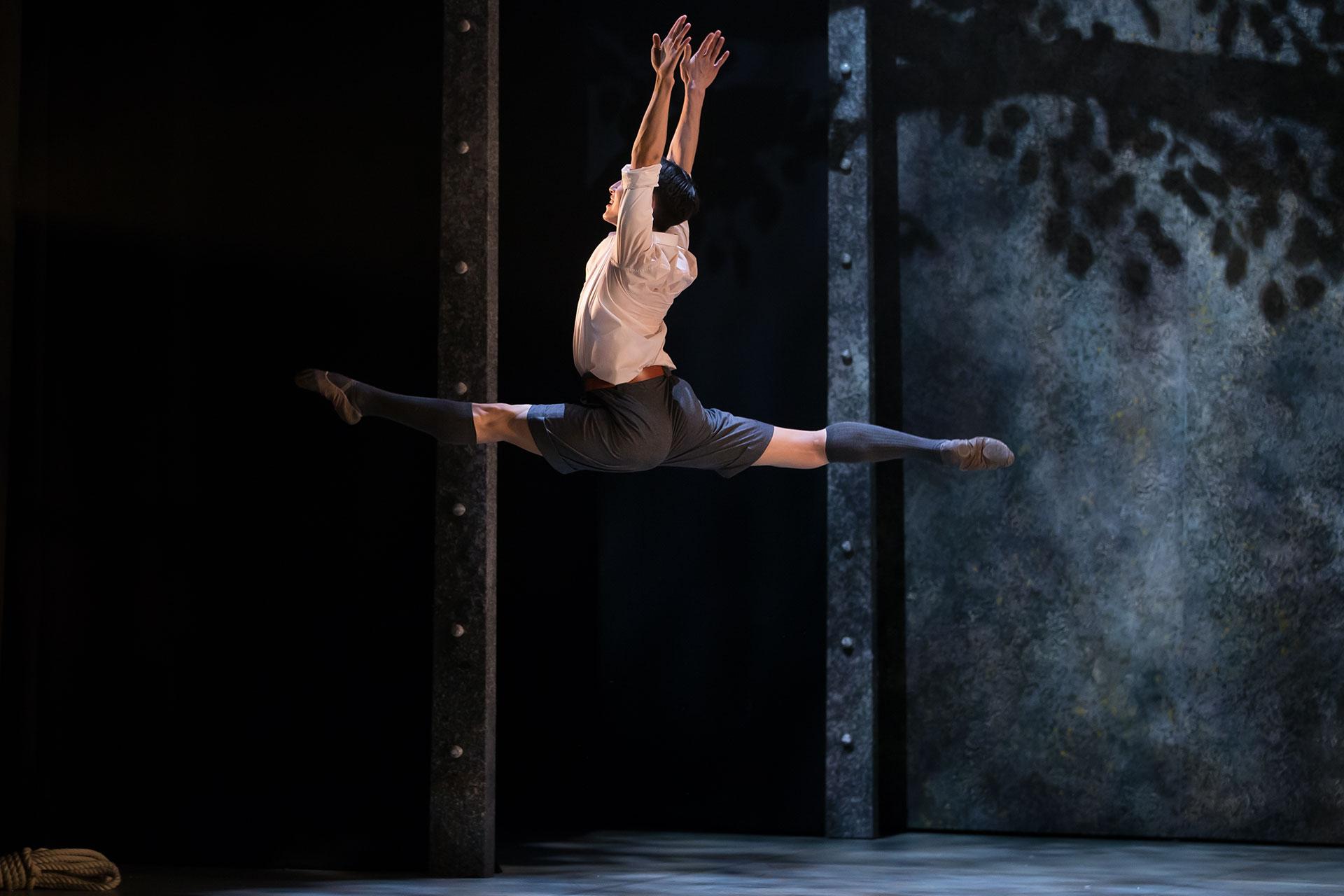 Carefree, Bruno leaps as he discovers the surrounds of his new home.